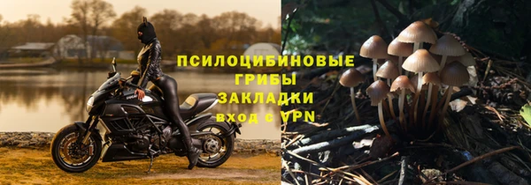 ALPHA-PVP Белокуриха