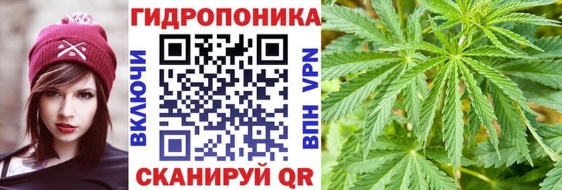 Марихуана сатива  Калининец 